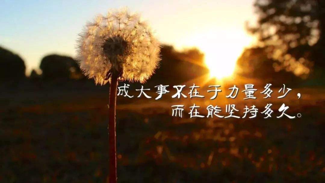 表达思想的心情语录 感悟 自我勉励文案100条