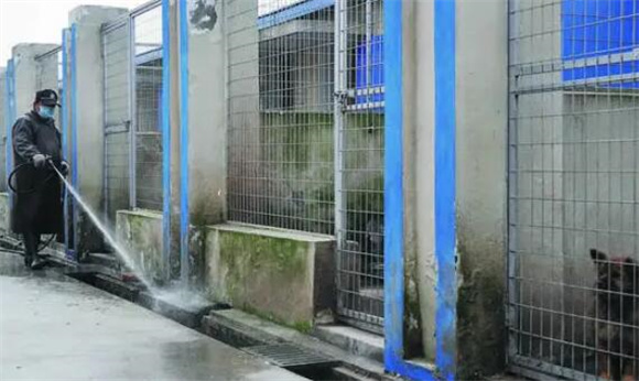北京犬类留检所