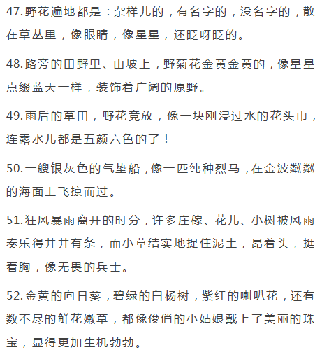 答案里的经典语录：总结《答案》中的经典句子及写作方式