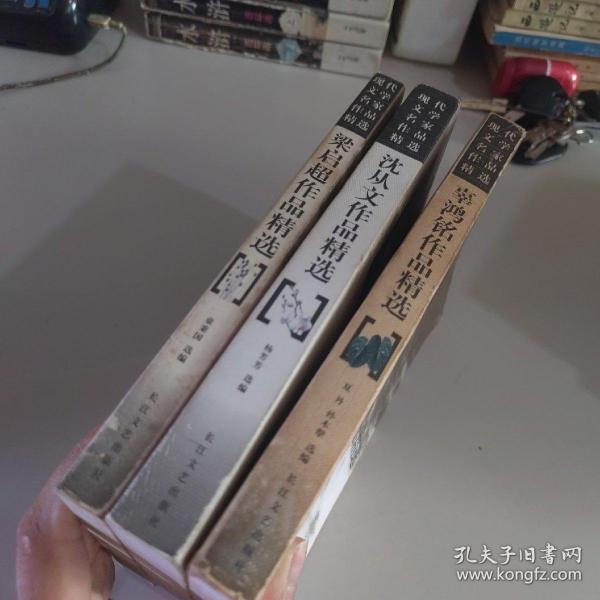 文学巨匠经典作品汇编与鉴